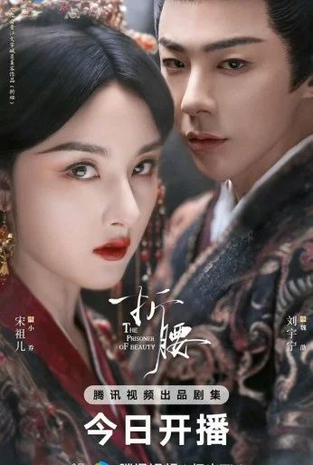 Узник красоты (2025) онлайн бесплатно